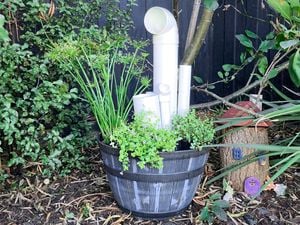 A pot with plants and PVC pipes in it.
