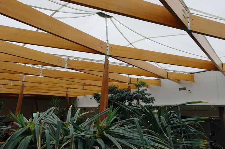 Aesthetic wooden beams supporting a canvas canopy