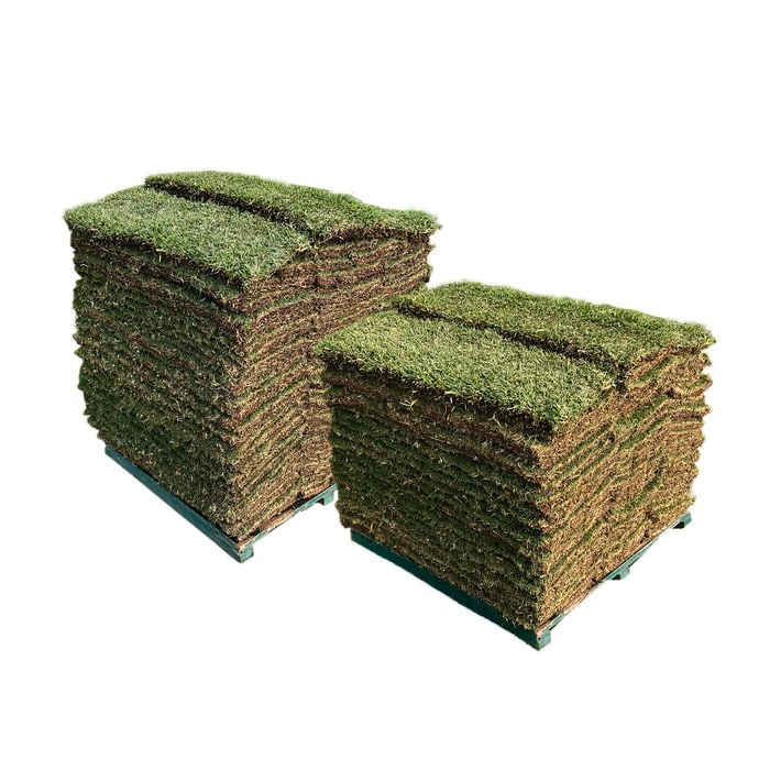 Sir Walter DNA Certified Buffalo 90m² Soft Leaf Buffalo Turf - Pallet