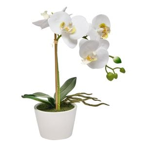 Astin Sinclair 300mm White Artificial Orchid in Ceramic Pot