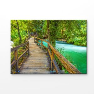 Wooden Pathway in To The Forest Print 100% Australian Made 150x100cm (Stretched Canvas)