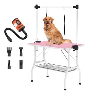 Advwin Pet Grooming Table + Pet Hair Dryer