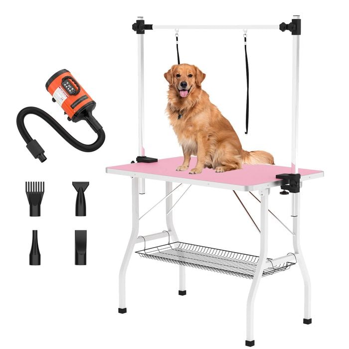 Advwin Pet Grooming Table + Pet Hair Dryer