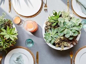 Close up of succulent centrepieces in concrete look pots on a decorated dinner table with tableware