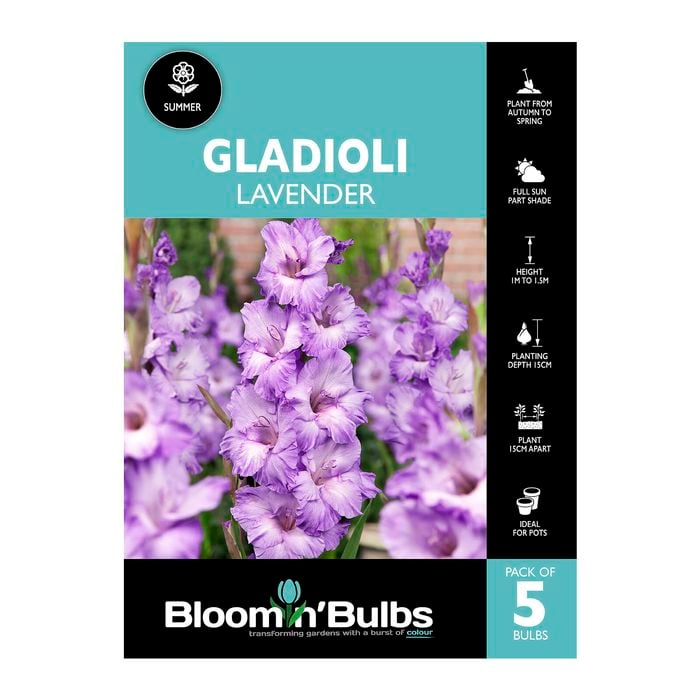Bloomin' Bulbs Gladioli Lavender - 5 Pack