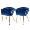 1 Set of 2 Artiss Dining Chairs Velvet Weaving Armchair Blue