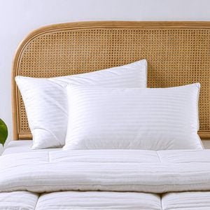 Dreamaker Cotton Sateen Cover Microfibre Standard Pillow - Twin Pack