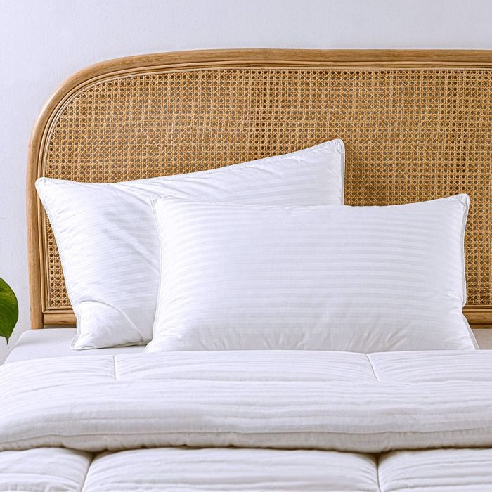 Dreamaker Cotton Sateen Cover Microfibre Standard Pillow - Twin Pack