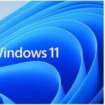 Microsoft Windows 11 Professional for Workstation 64 BIT - By Order NEW