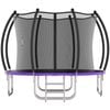 Advwin 10FT Outdoor Trampoline for Kids w/Ladder, Sprinkler, Max Limit 350 kg