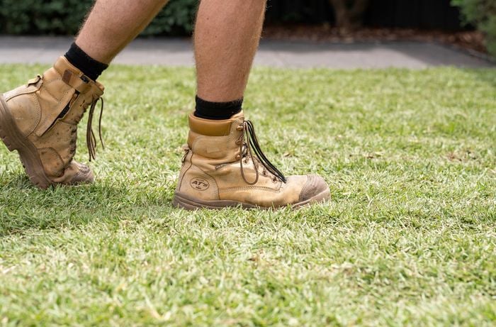 A person wearing work boots is gently walking on freshly laid turf to help it settle and make a good contact with the soil.