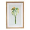 LVD Framed Glass/Rein 40x60cm Print Palm 2 Wall Hanging Art