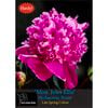 Yarra Valley Bulbs Peony Mon. Jules Elie Bulb - Paeonia X Lactofolia - 1 Pack