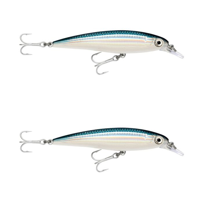 2x Rapala 10cm Saltwater X Rap Jerkbait Fishing Lures - Baitfish