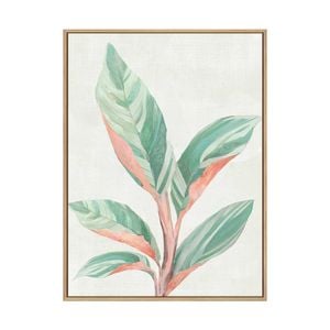 Artey | Ginger Plant II - Framed Canvas - Natural Frame - 60 x 80cm