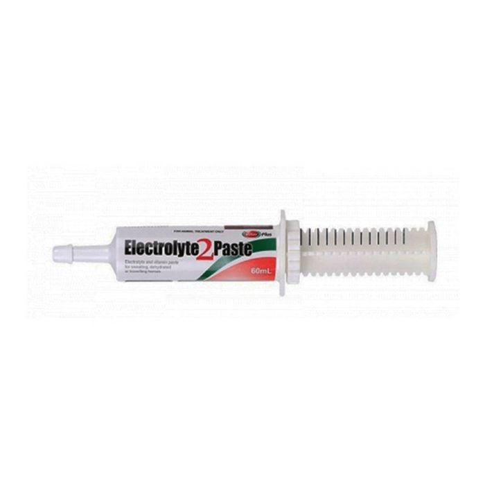 Value Plus Electrolyte Replacement 2 Paste Equine Horse 60ml