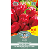 Mr Fothergill's Habanero Giant Red Chilli
