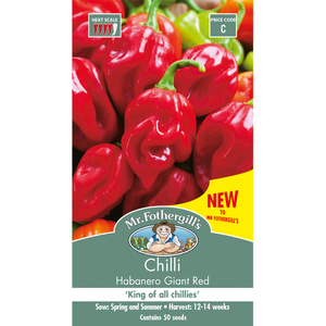 Mr Fothergill's Habanero Giant Red Chilli