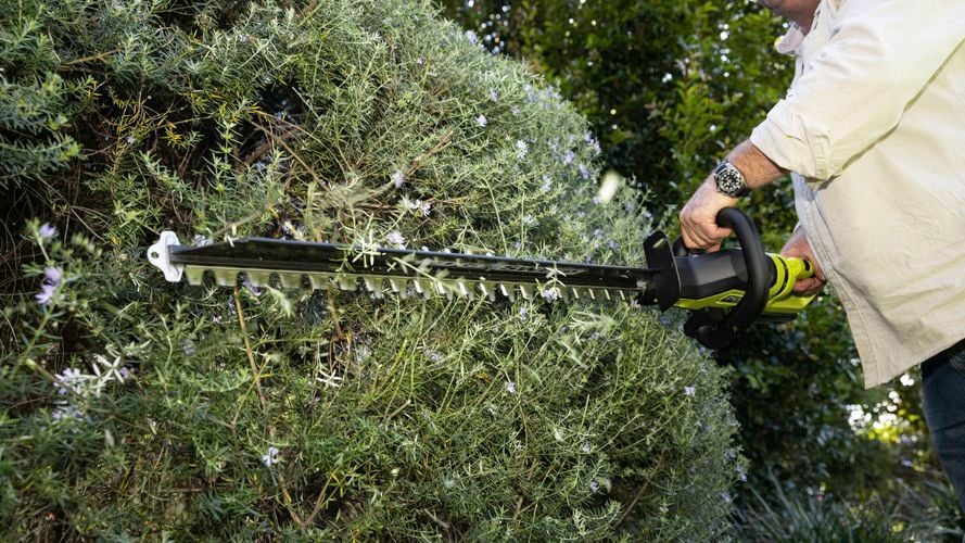 A person using a hedge trimmer to shape and trim a hedge in a garden.