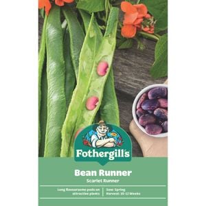 Fothergill's Scarlet Runner Bean Vegetable Seeds