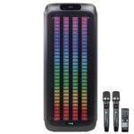 Weconic Bluetooth Karaoke Machine Wireless UHF Microphones