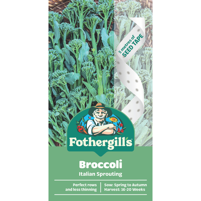 Fothergill's Broccoli Italian Sprouting Seed Tape