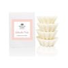 Watermelon Punch Soy Wax Melts 80g