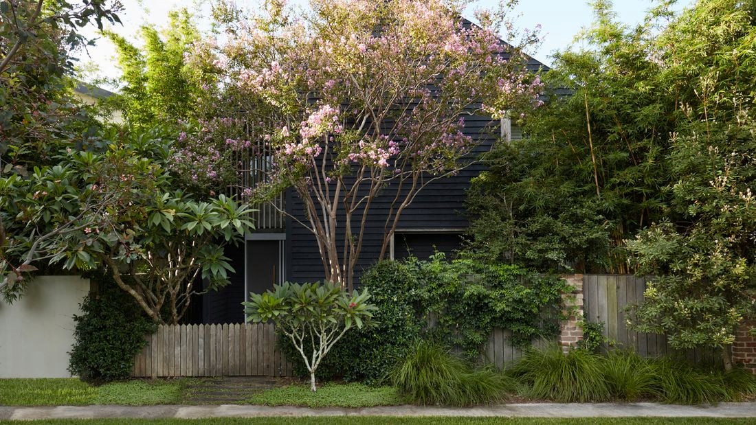 Image of tree in front of house with garden around it