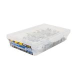 Buildex M6-11 x 50mm Roof Zips Screws - 100 Box