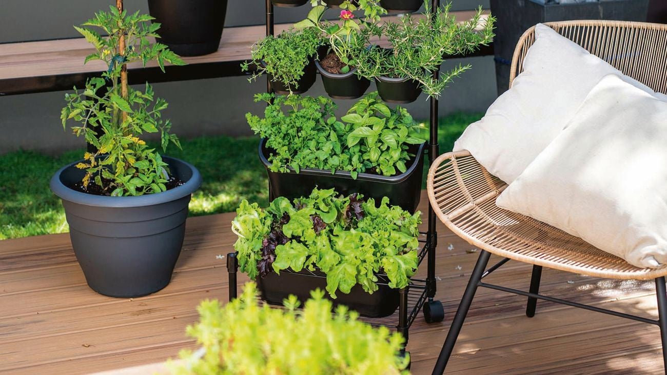 Potted plants sit in a vertical plant holder in an outdoor area