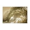 Artey | Auricomus - Stretched Canvas - Stretched Canvas - 110 x 165cm