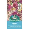 Fothergill's Phlox Tapestry Flower Seeds