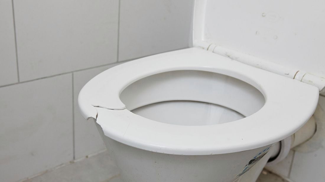A cracked toilet seat