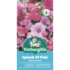 Fothergill's Splash Of Pink Flower Seeds