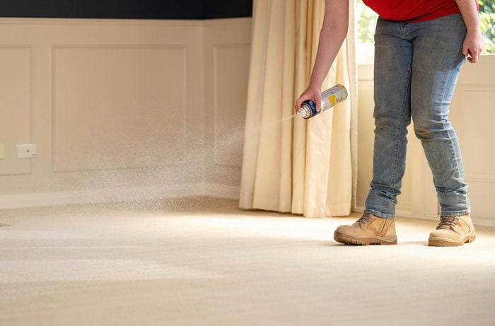 A person wearing jeans and work boots is spraying a carpet deodoriser on a freshly cleaned beige carpet to remove lingering odors. 