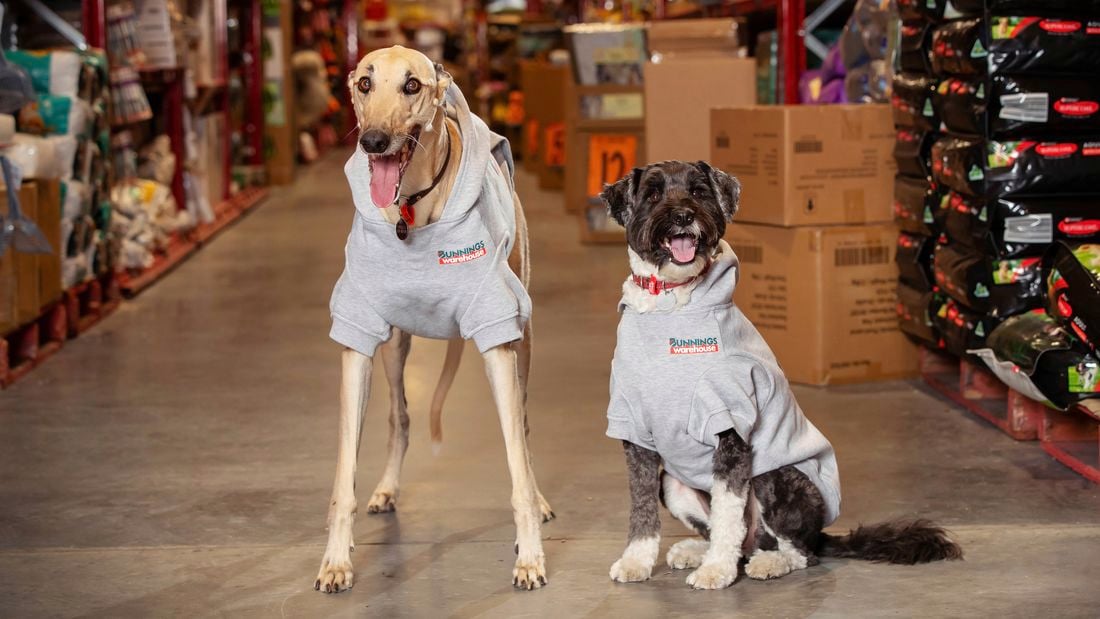 Graphic - Stores For Paws 2026_Hero Image - Media Release