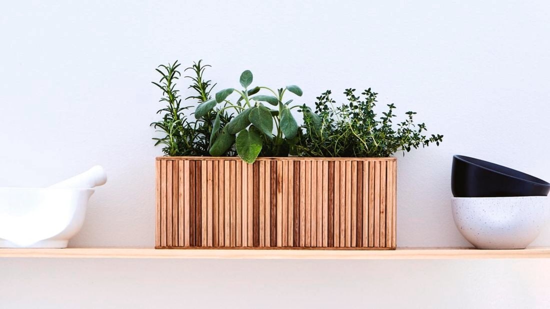 Planter with micro herbs sitting on floating wall shelf.