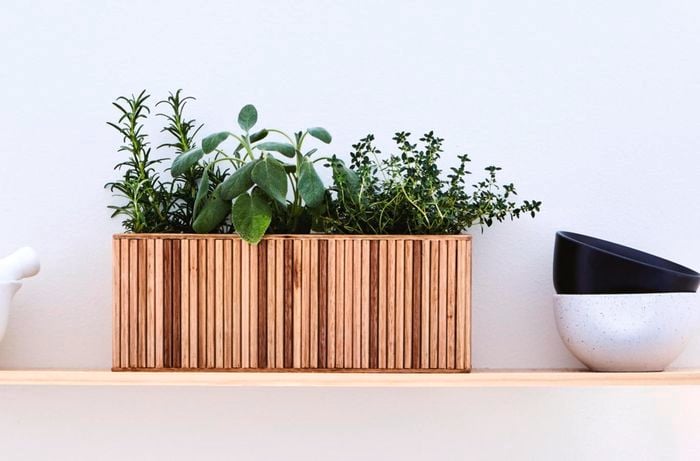 Planter with micro herbs sitting on floating wall shelf.