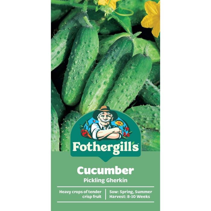 Fothergill's Pickling Gherkin Cucumber Vegetable Seed
