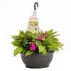 270mm Alfresco Colour Garden Hanging Basket