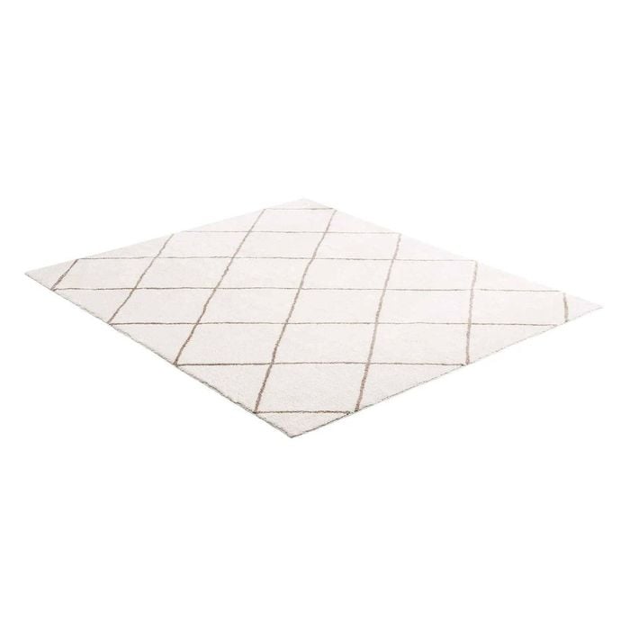 P&P Large Living Room Rug 8x10 Thick Durable Non Slip Soft Floor Carpet