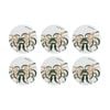 6PK Maxwell & Williams Royal Botanic Garden - Ceramic Round Coaster 9.5cm Wattle