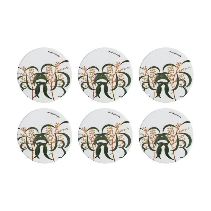 6PK Maxwell & Williams Royal Botanic Garden - Ceramic Round Coaster 9.5cm Wattle