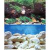 Aqua One Background White Stone/Algae & White Rock Double Sided 48cm (Per Metre) (10513)