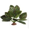 Reptile One Marantha Plant With Resin Base