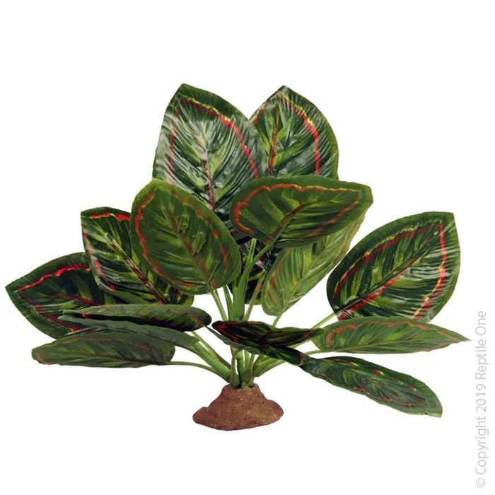 Reptile One Marantha Plant With Resin Base