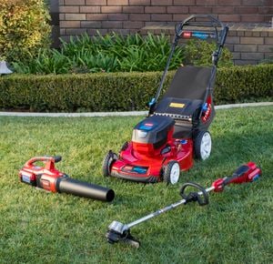 Lawn mower, trimmer and blower spread out on a cut lawn