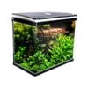 Dynamic Power Aquarium Fish Tank 52L Curved Glass RGB LED