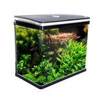Dynamic Power Aquarium Fish Tank 52L Curved Glass RGB LED