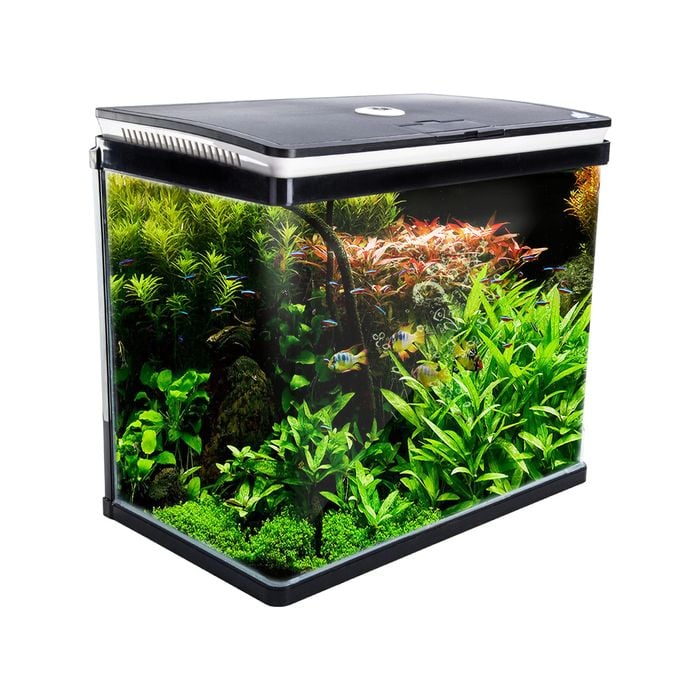 Dynamic Power Aquarium Fish Tank 52L Curved Glass RGB LED